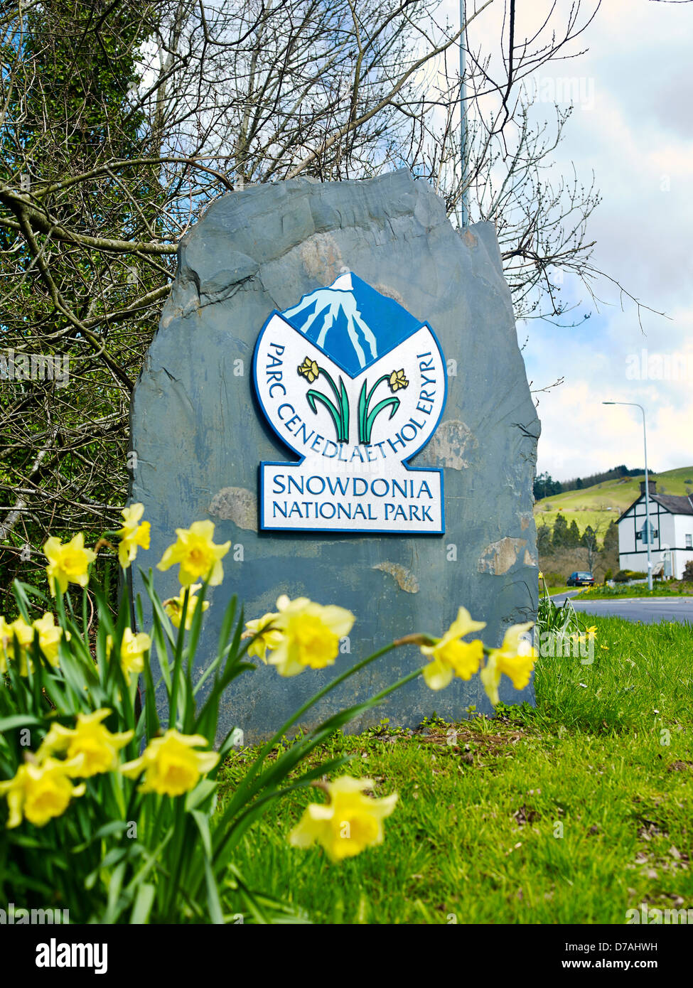 Snowdonia-Nationalpark Grenze Marker auf einem Schiefer Felsen mit einem Rand von Narzissen in der Nähe der Straße. Stockfoto