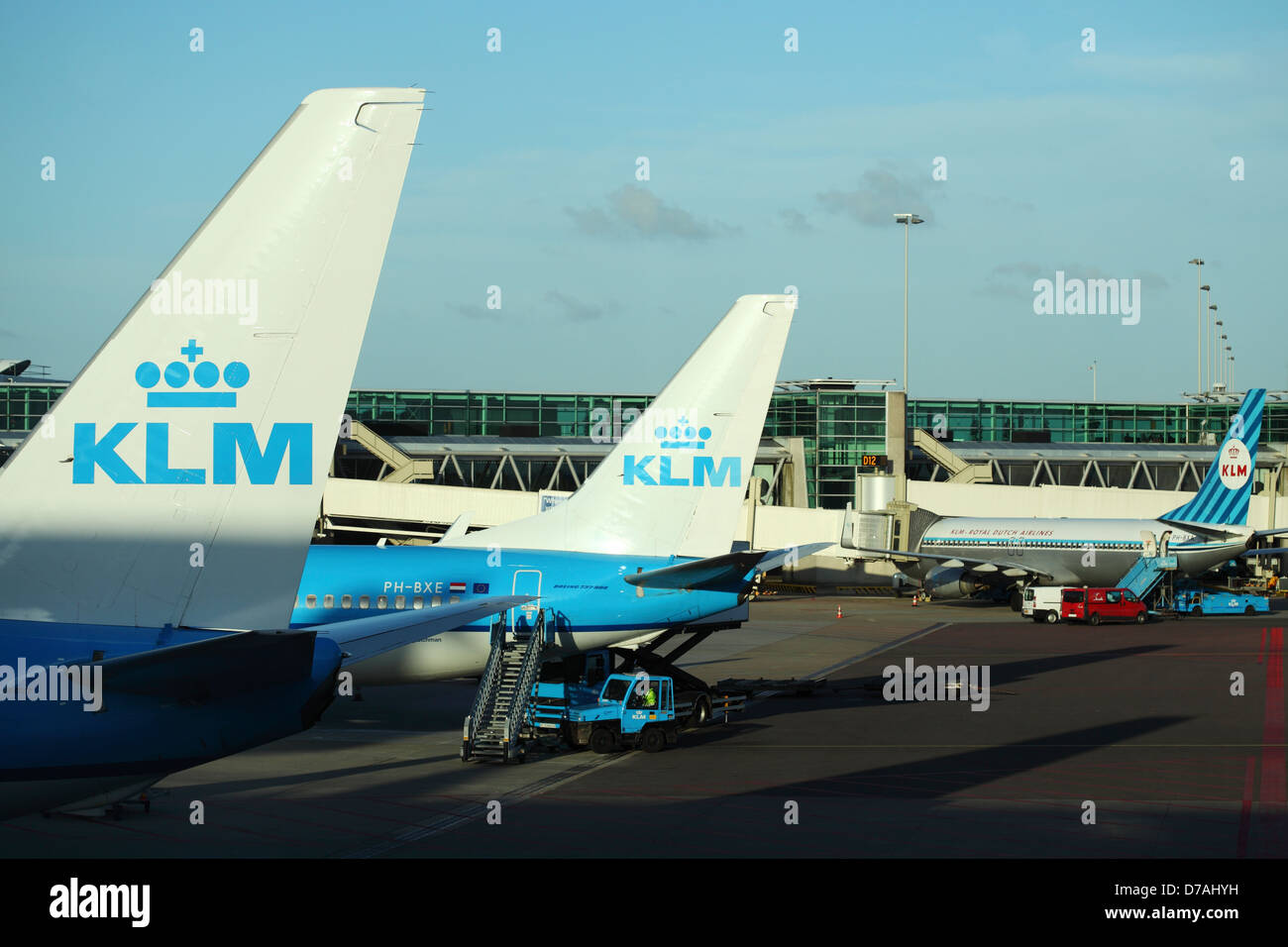Heckflossen der KLM Flugzeuge am Flughafen Schiphol in den Niederlanden. KLM ist die nationale Fluggesellschaft der Niederlande. Stockfoto