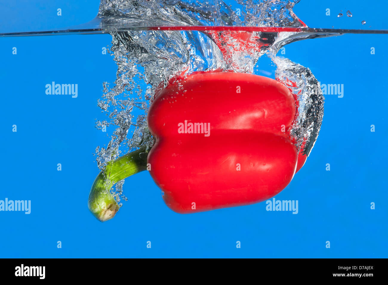 Rote Paprika sank im Wasser. Stockfoto