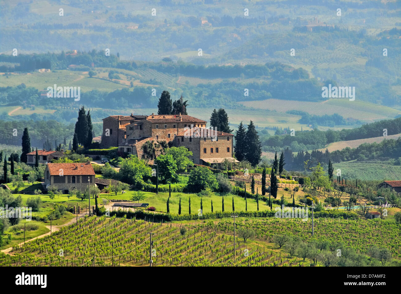 Toskana Weingut - Tuscany Weinberg 04 Stockfoto
