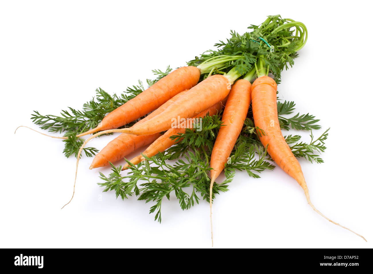 Karotten neu auf weißem Hintergrund Stockfoto