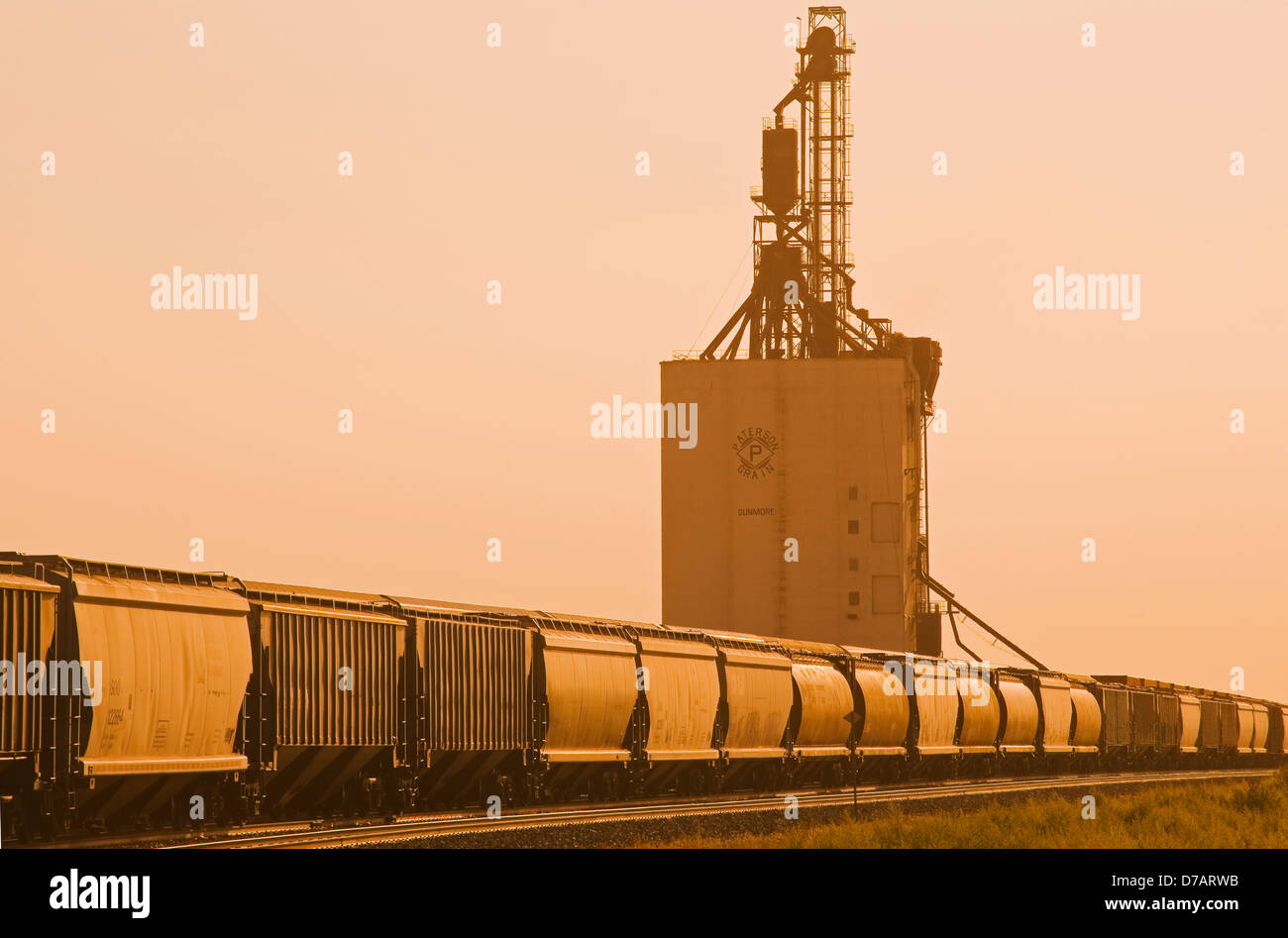 Hopper Wagen warten auf ein Abstellgleis neben einer im Inland Getreide Terminal, Dunmore, Alberta, Kanada, Künstler Wahl Stockfoto