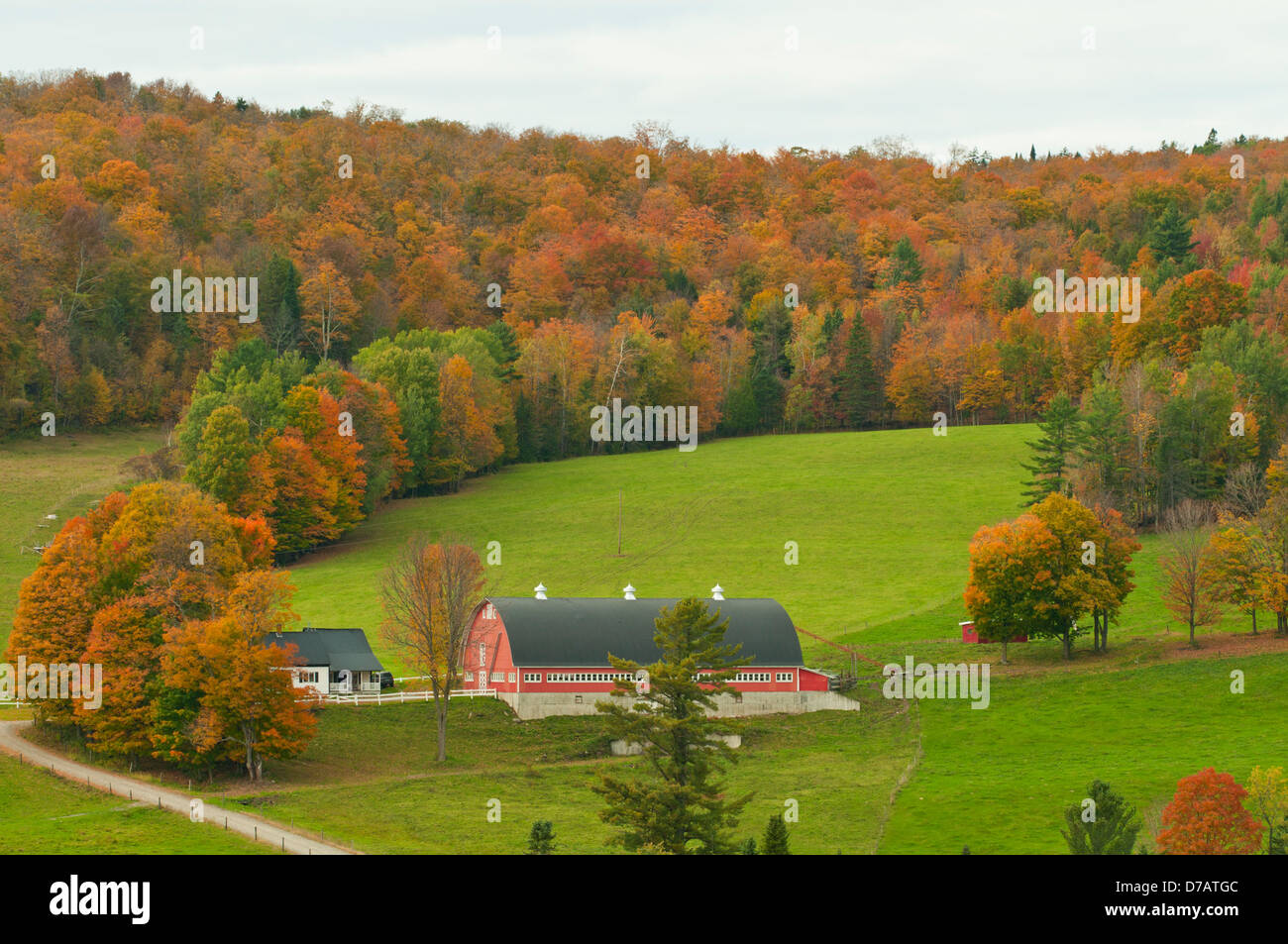 Bauernhof in Ost Albany, Vermont, USA Stockfoto