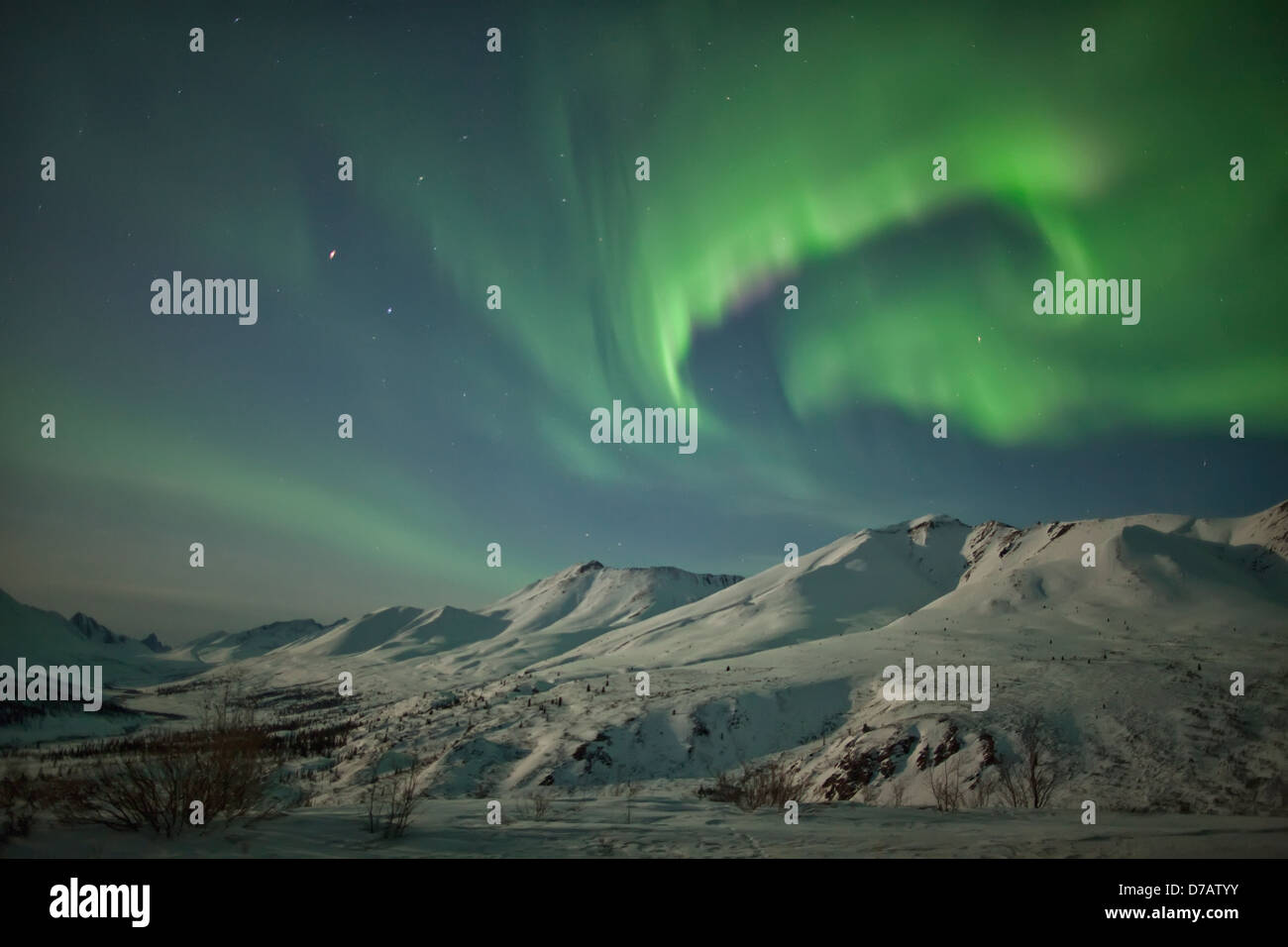 Aurora Borealis Tänze über den Klondike-Tal in Tombstone territorial Park; Yukon Kanada Stockfoto