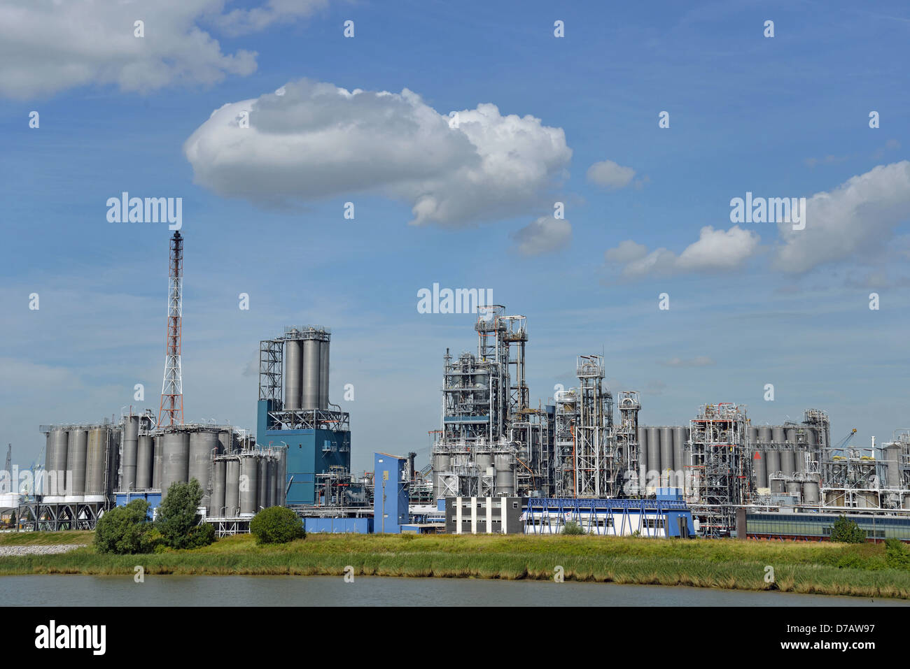 Öl-Raffinerie neben der Schelde, Provinz Antwerpen, die flämische Region, Belgien Stockfoto