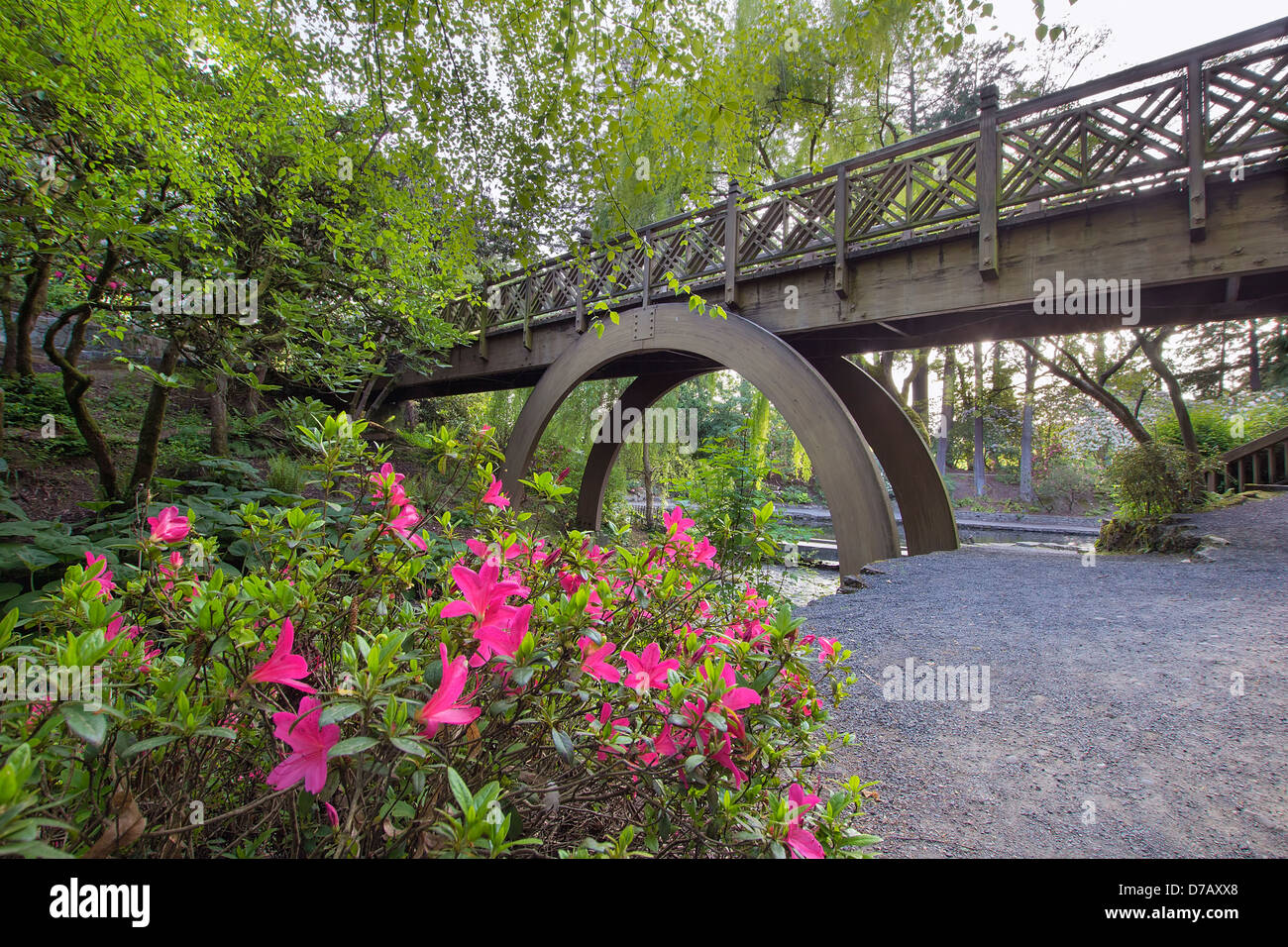 Bogenbrücke aus Holz Fuß im Crystal Springs Rhododendron Garden mit Azaleen blühen im Vordergrund Stockfoto