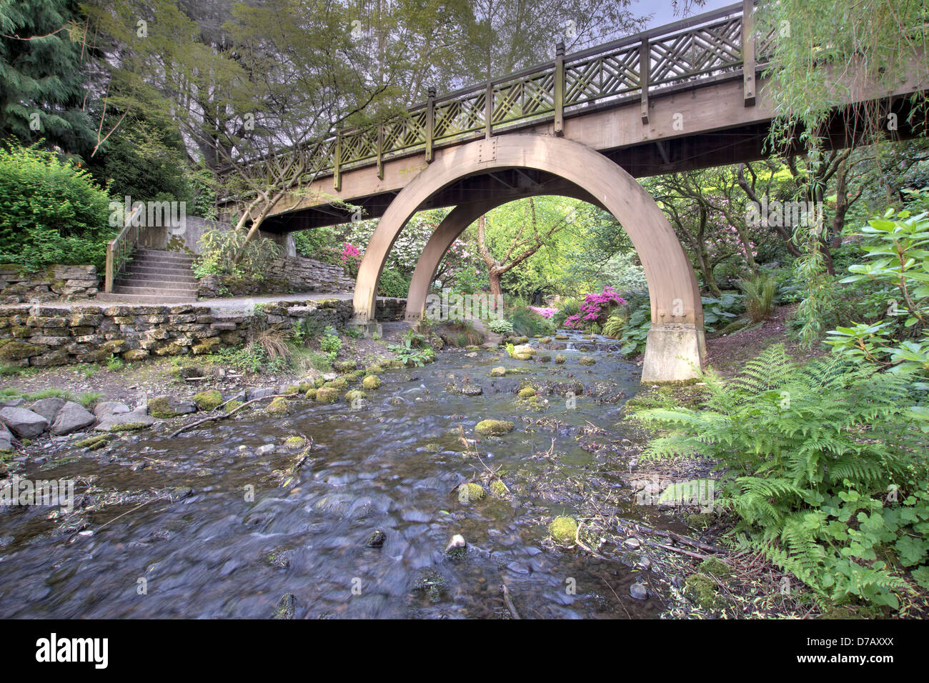 Schritte die die hölzerne Brücke wölbt sich im Crystal Springs Rhododendron Garden Stockfoto