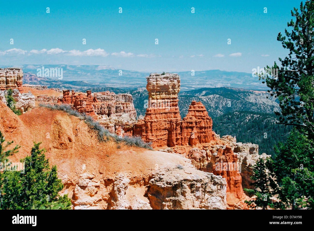 Ponderosa point Fotos und Bildmaterial in hoher Auflösung Alamy