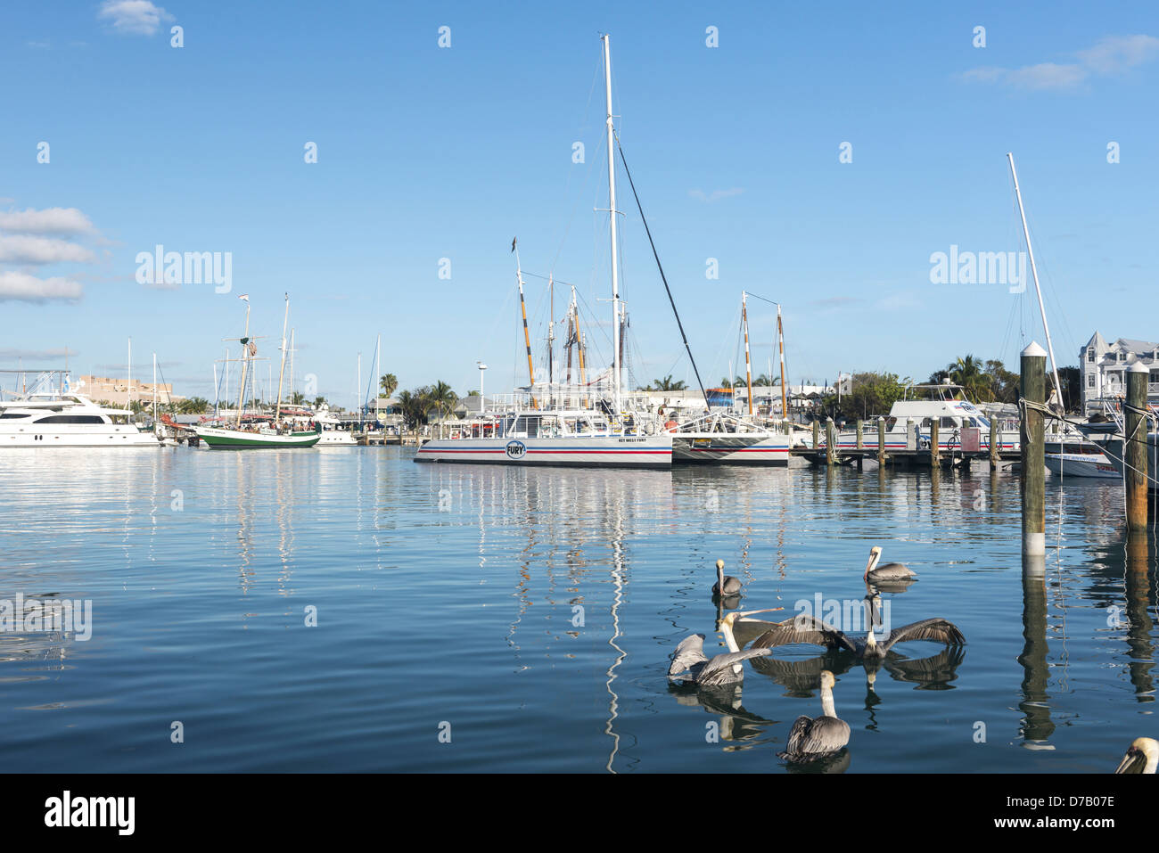 Segelschiffe, Key West, Florida, USA, Stockfoto