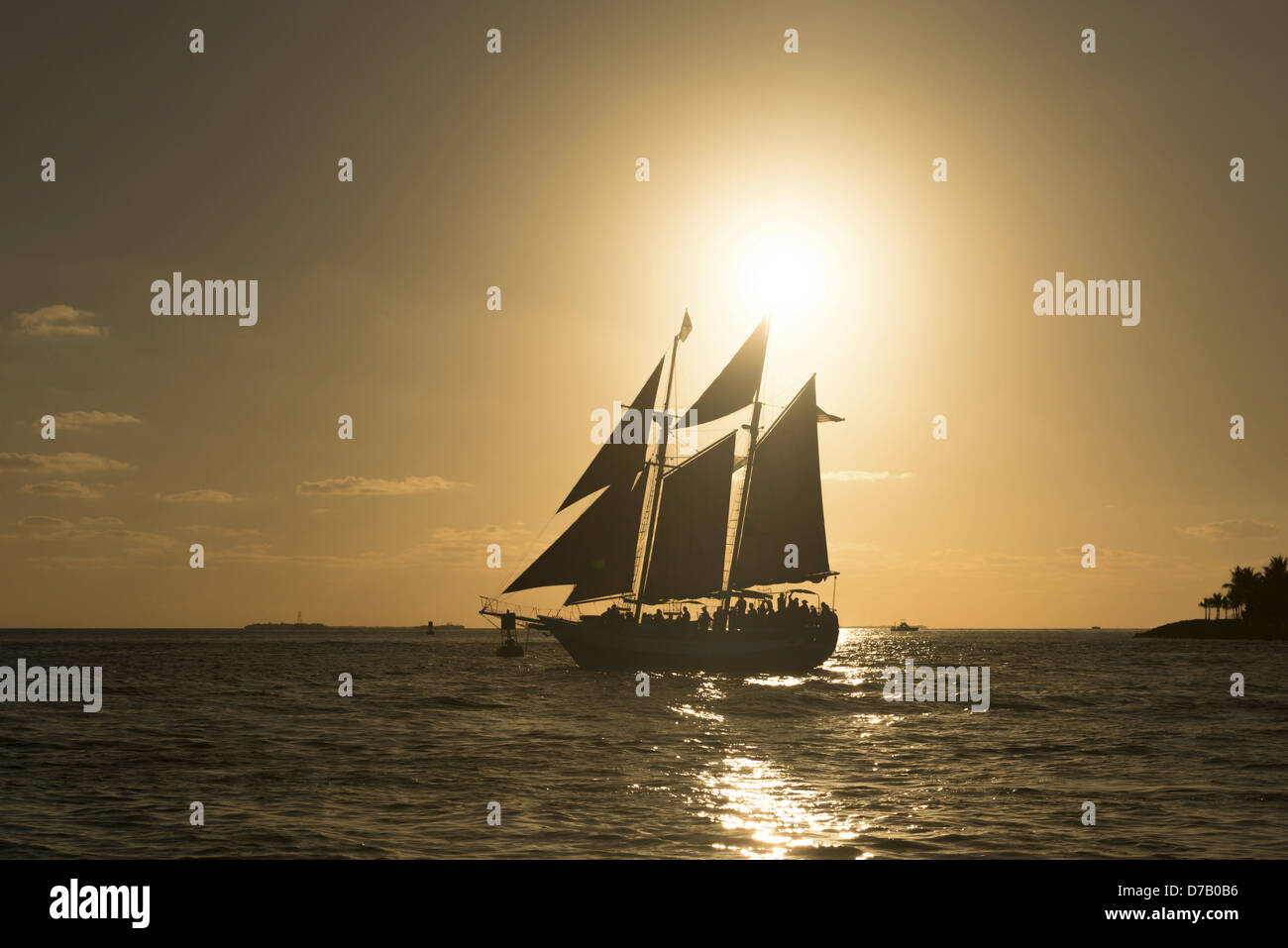 Saling Schiff vor Sonnenuntergang, Key West, Florida Keys, Florida, USA Stockfoto