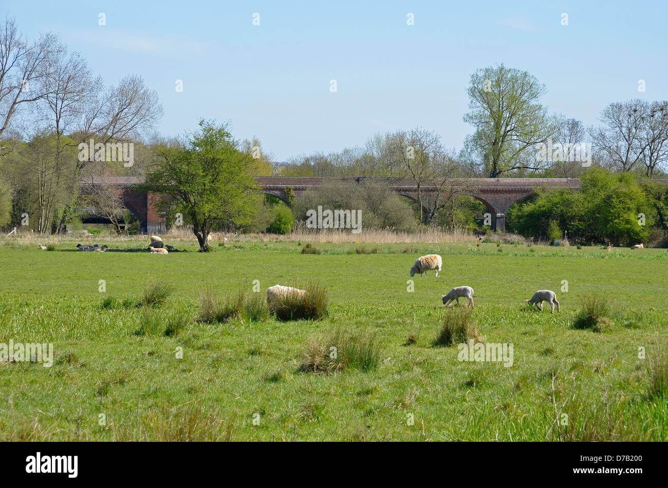 Auen und der alten Hockley Eisenbahnviadukt jetzt verwendet als öffentlicher Fußweg und Zyklus, Hockley, Winchester, Hampshire, Stockfoto