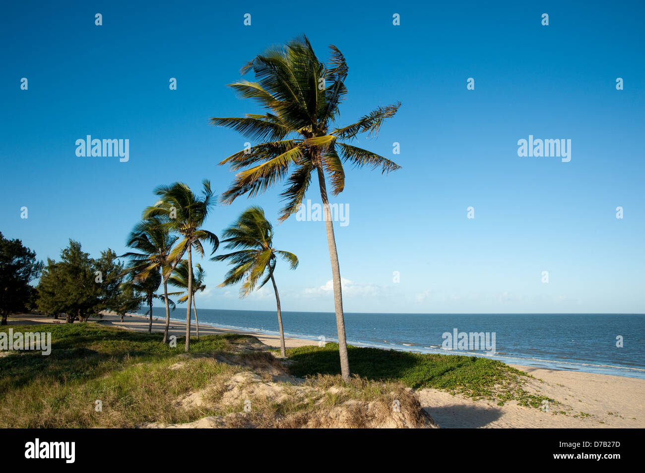 Strand, Beira, Mosambik Stockfoto