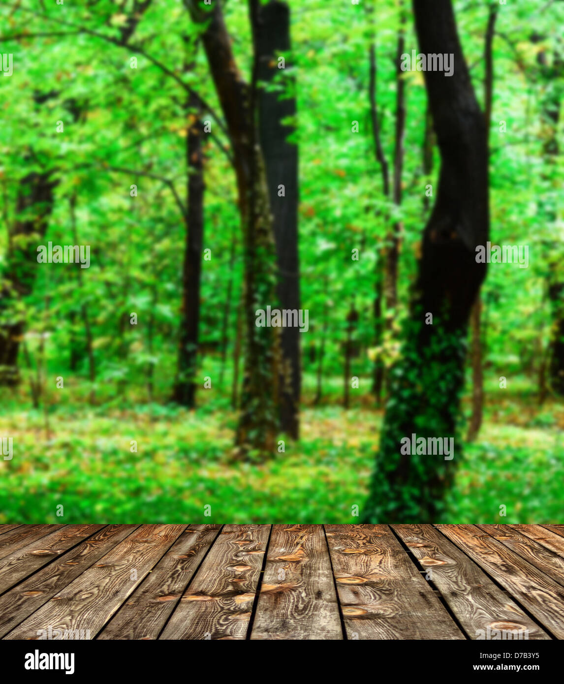 Schöne Wälder und Holzboden Hintergrund Stockfoto
