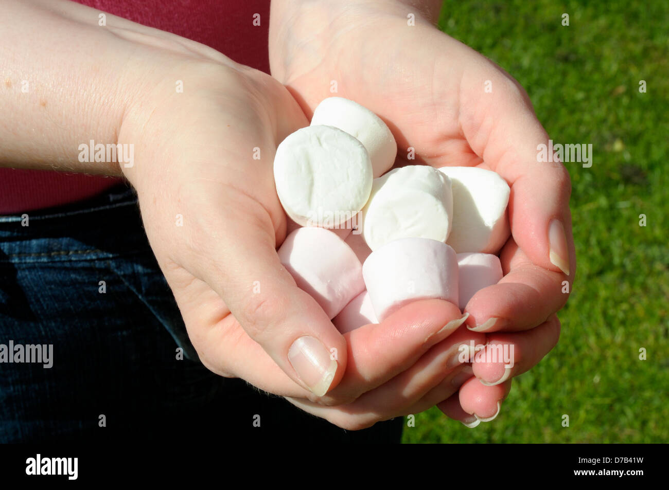 Nahaufnahme von Frau Rosa und weiße Marshmallows in den Händen halten Stockfoto