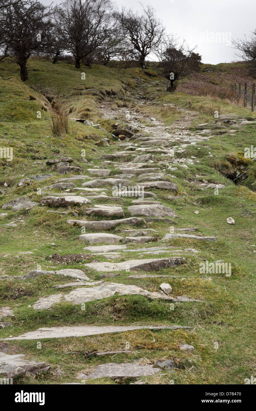 Der Pony-Pfad auf dem walisischen Berg Cadair Idris in Snowdonia-Nationalpark, Gwynedd, Wales, April 2013 Stockfoto