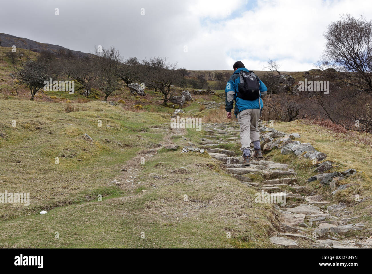 Ein Walker aufsteigend auf dem Pony Weg auf dem walisischen Berg Cadair Idris in Snowdonia-Nationalpark, Gwynedd, Wales, April 2013 Stockfoto