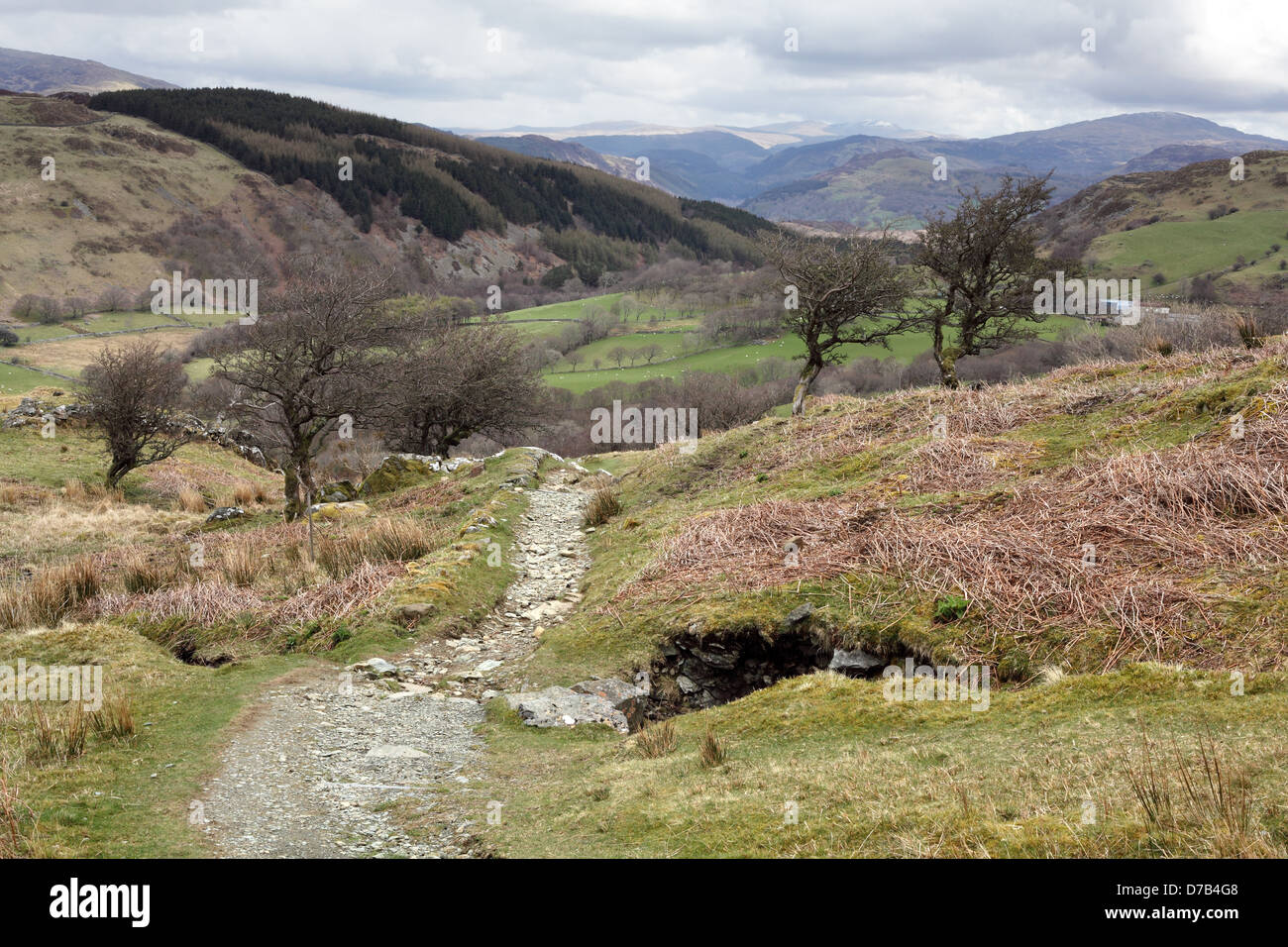 Der Pony-Pfad auf Cadair Idris in Snowdonia-Nationalpark, Gwynedd, Wales, April 2013 Stockfoto