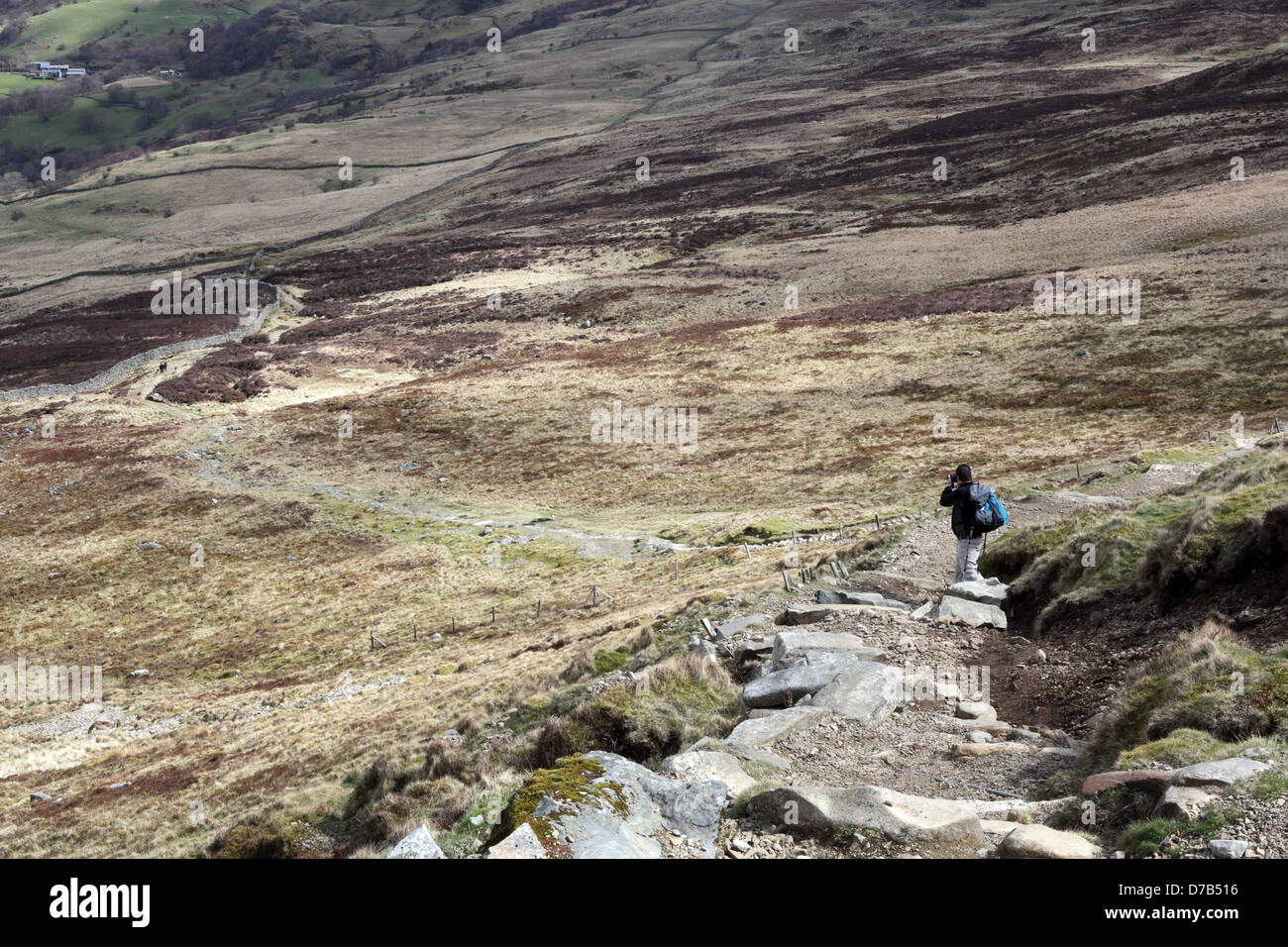 Ein Walker absteigend auf dem Pony Weg auf dem walisischen Berg Cadair Idris in Snowdonia-Nationalpark, Gwynedd, Wales, April 2013 Stockfoto