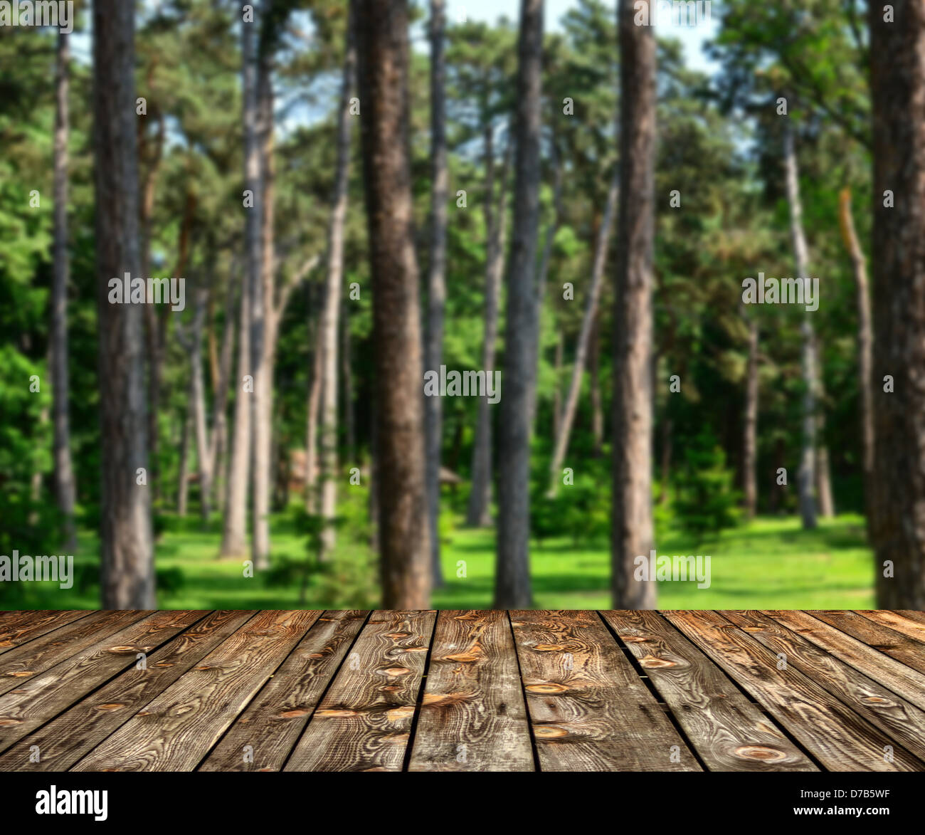 Grünen Wald und Holzbohlen Boden Hintergrund Stockfoto