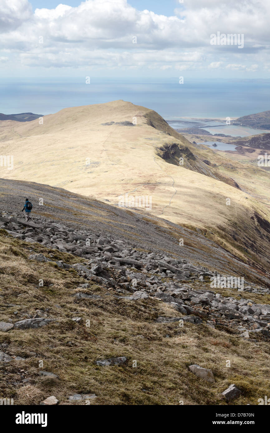 Ein Walker absteigend auf dem Pony Weg auf dem walisischen Berg Cadair Idris in Snowdonia-Nationalpark, Gwynedd, Wales, April 2013 Stockfoto
