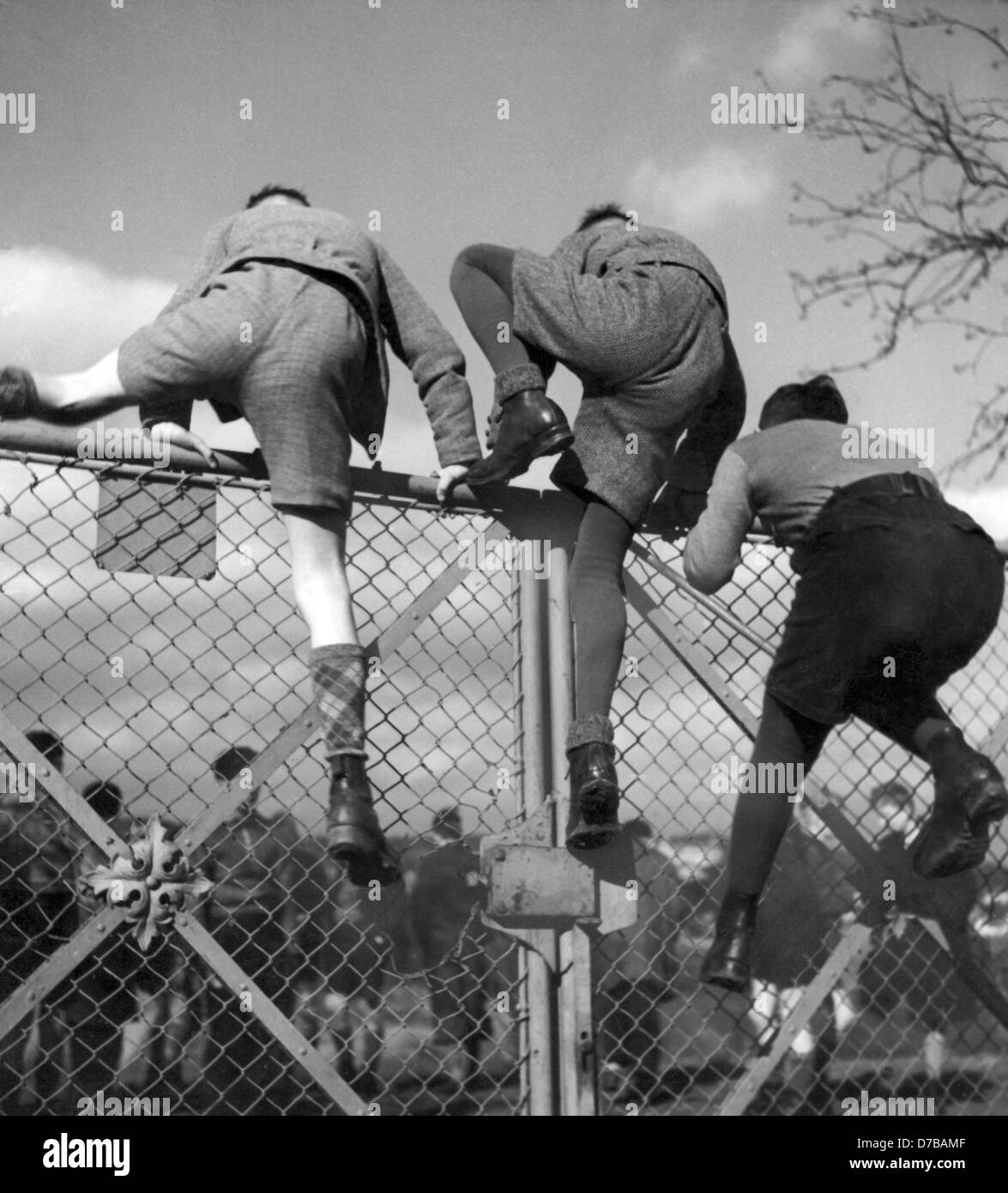 Drei Jungs klettern über ein geschlossenes Tor im Februar 1953, Zugang zu einem Fußballplatz, wo ein Fußballspiel stattfinden wird. Vielleicht haben die Jungs nicht die notwendigen Eintritt. +++(c) Dpa - Bericht +++ Stockfoto