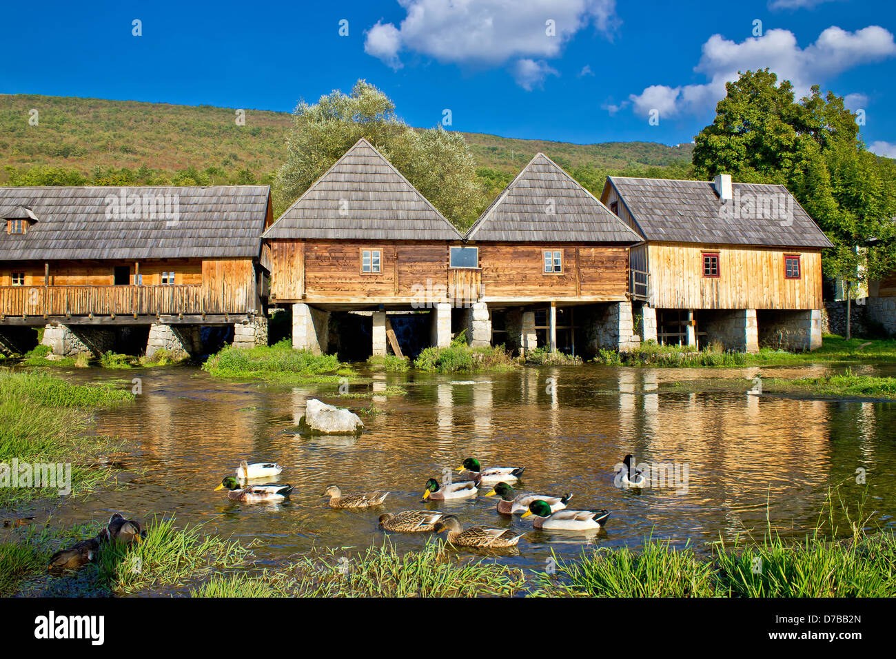 Majerovo Vrilo - Quelle der Gacka Fluss. Lika, Kroatien Stockfoto