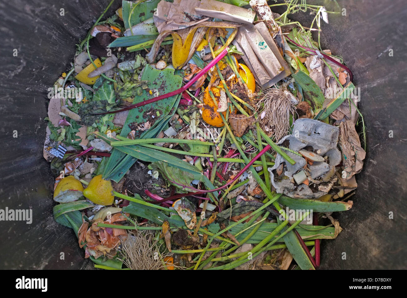 Overhead Schuss eine Biotonne. Stockfoto