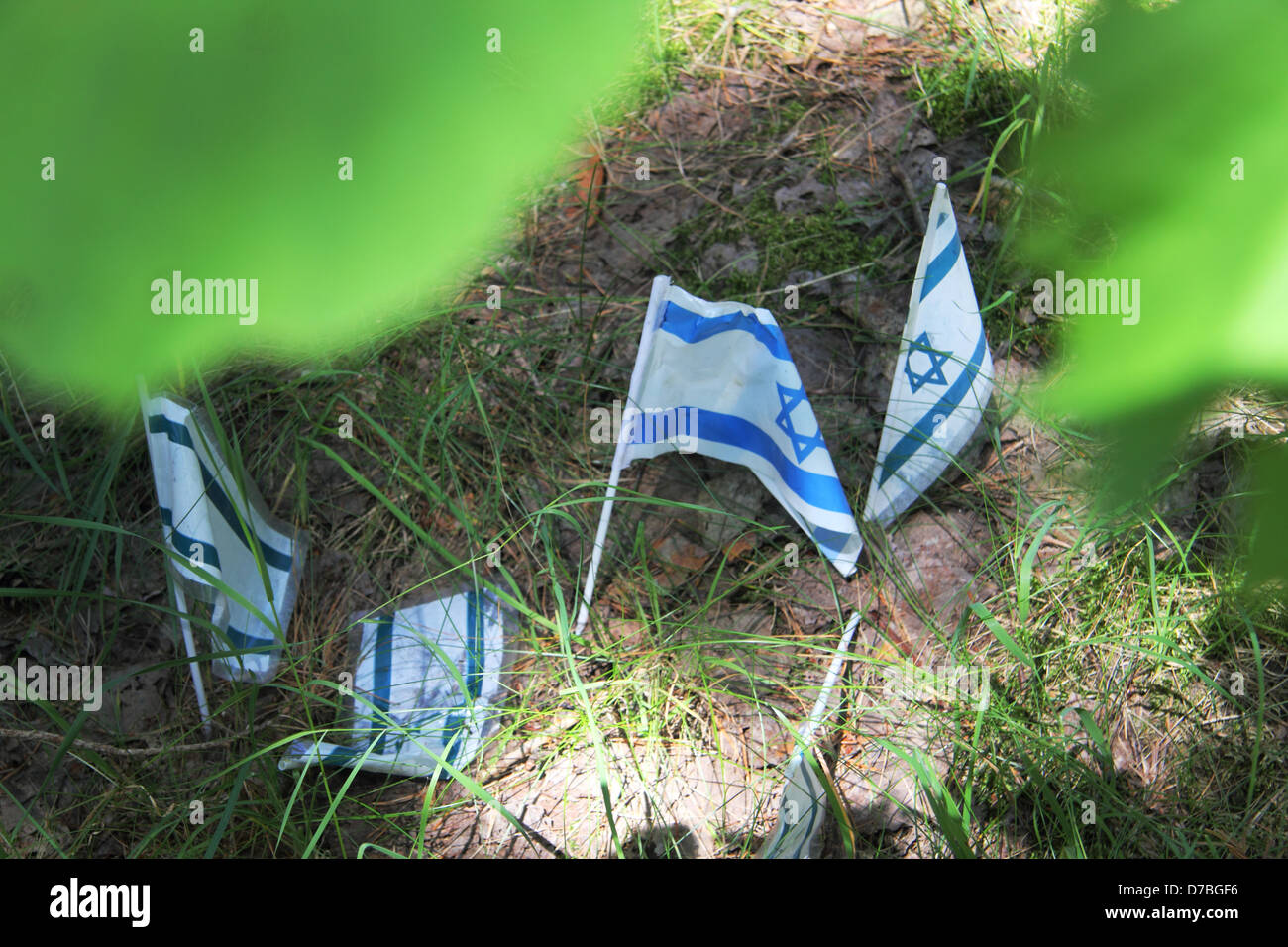 Israelische Fahnen legte am Lopochova Wald, Polen, In Erinnerung der Juden wurden ermordet Stockfoto