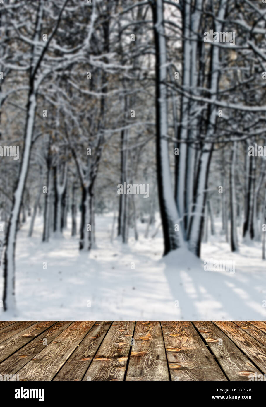 Winterwald und Holzboden Stockfoto