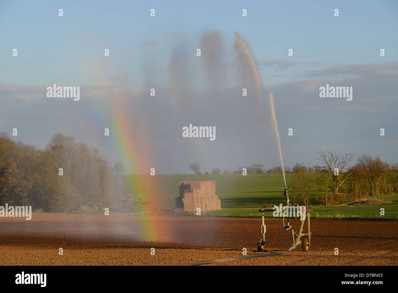 Wasserwerfer Bewässerung Samen im Feld während der Dürre Zauber im heißen Sommer Süd Milford Yorkshire uk Stockfoto