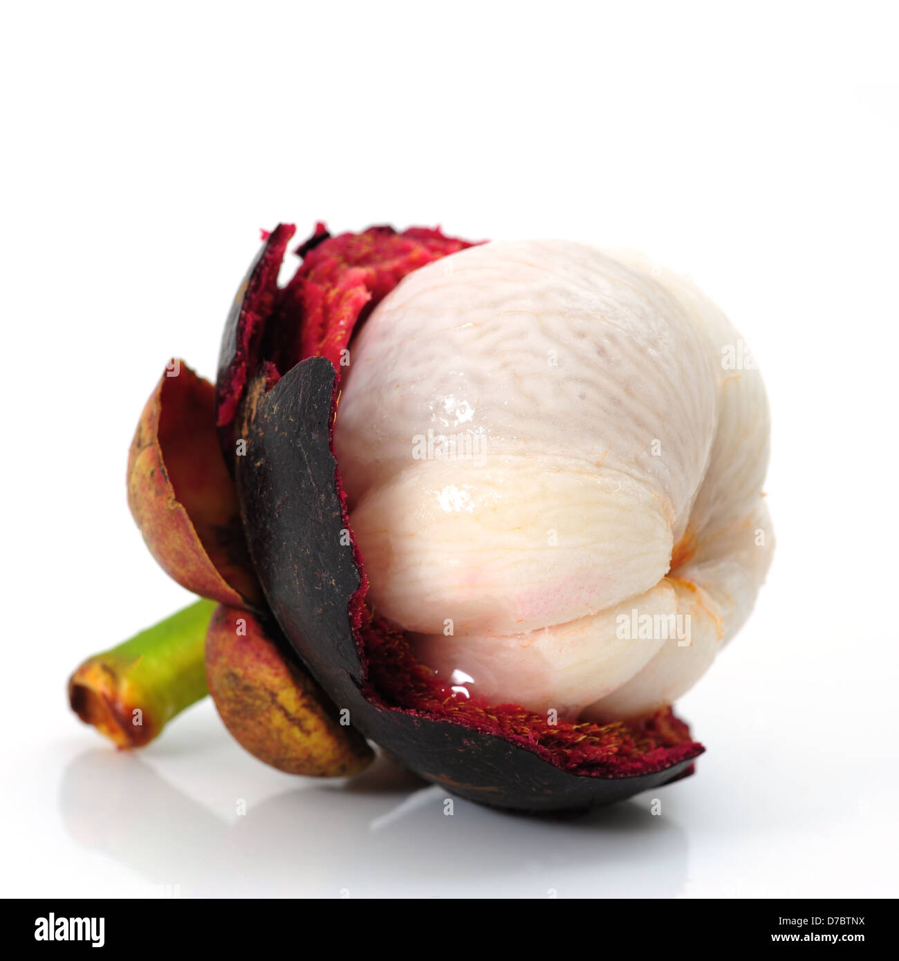 Mangostan-Frucht Stockfoto