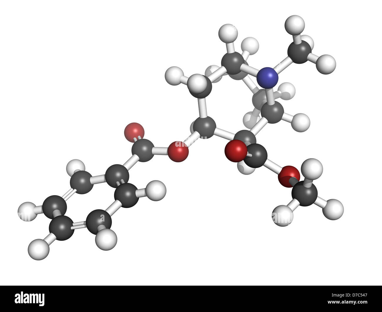 Kokain-Droge, Molekülmodell. Atome werden als Kugeln mit konventionellen Farbkodierung dargestellt. Stockfoto