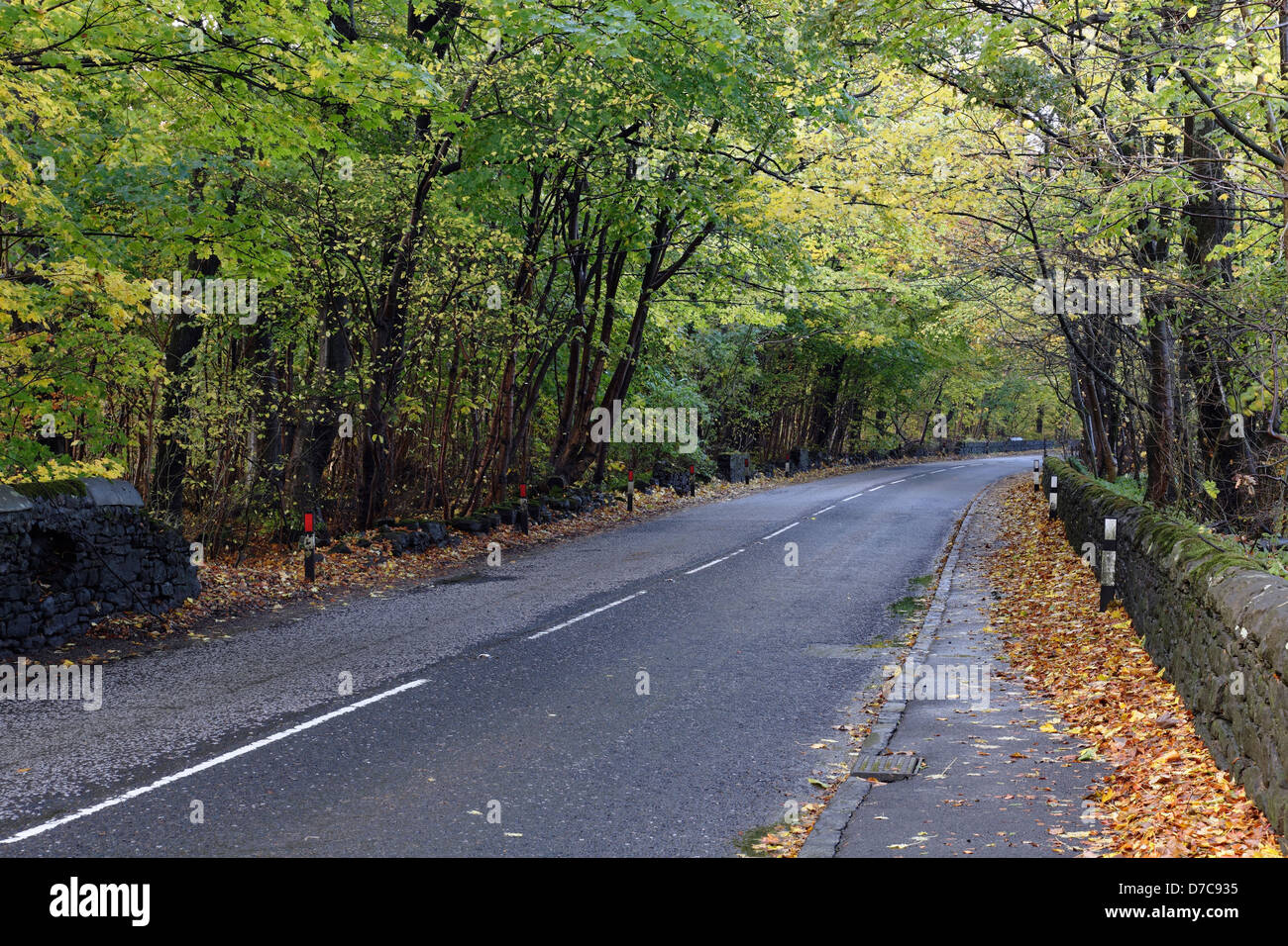 Leere Landstraße im Herbst, Schottland, Großbritannien Stockfoto