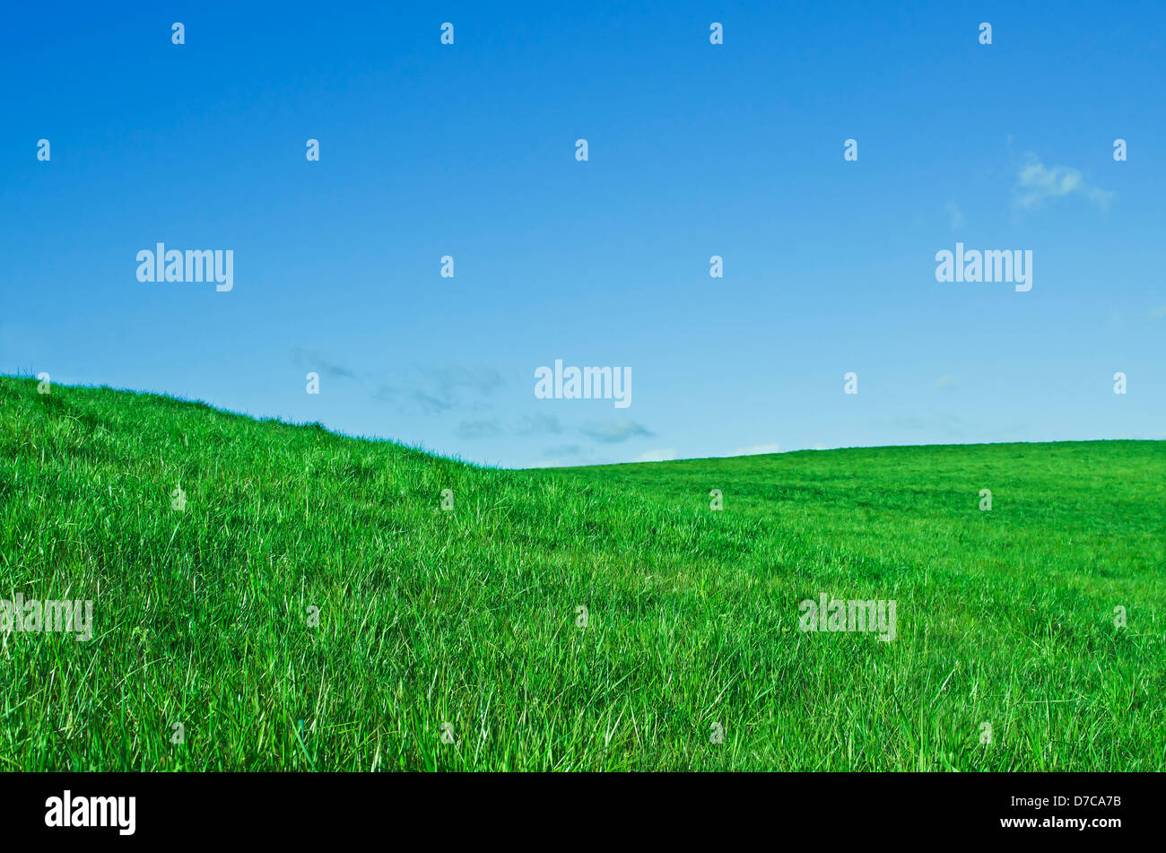 Frühlingslandschaft mit grüne Wiese und blauer Himmel Stockfoto