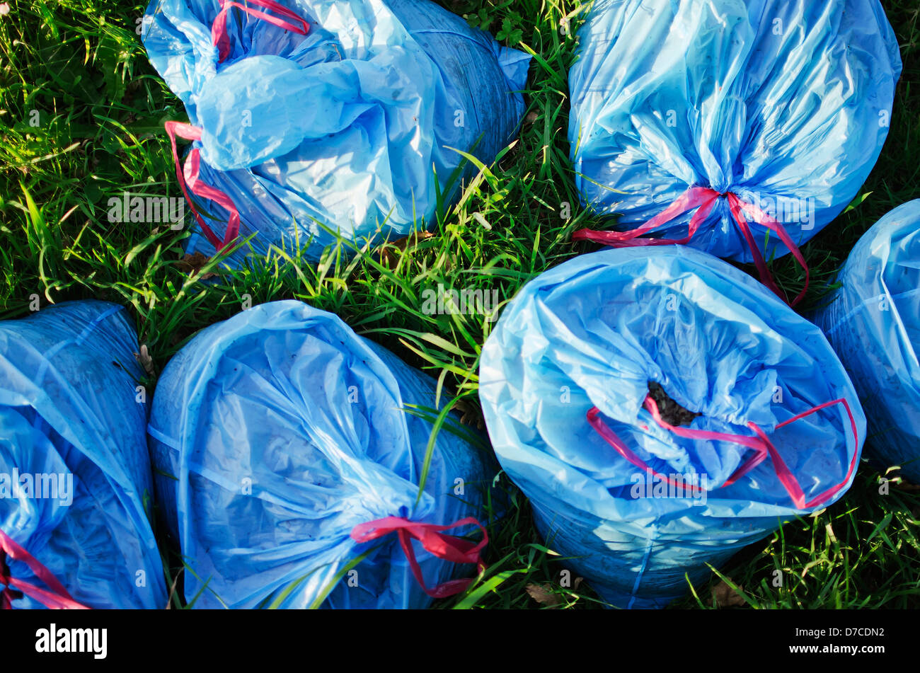 Mehrere blaue Plastiktüten auf dem grünen Rasen Stockfoto