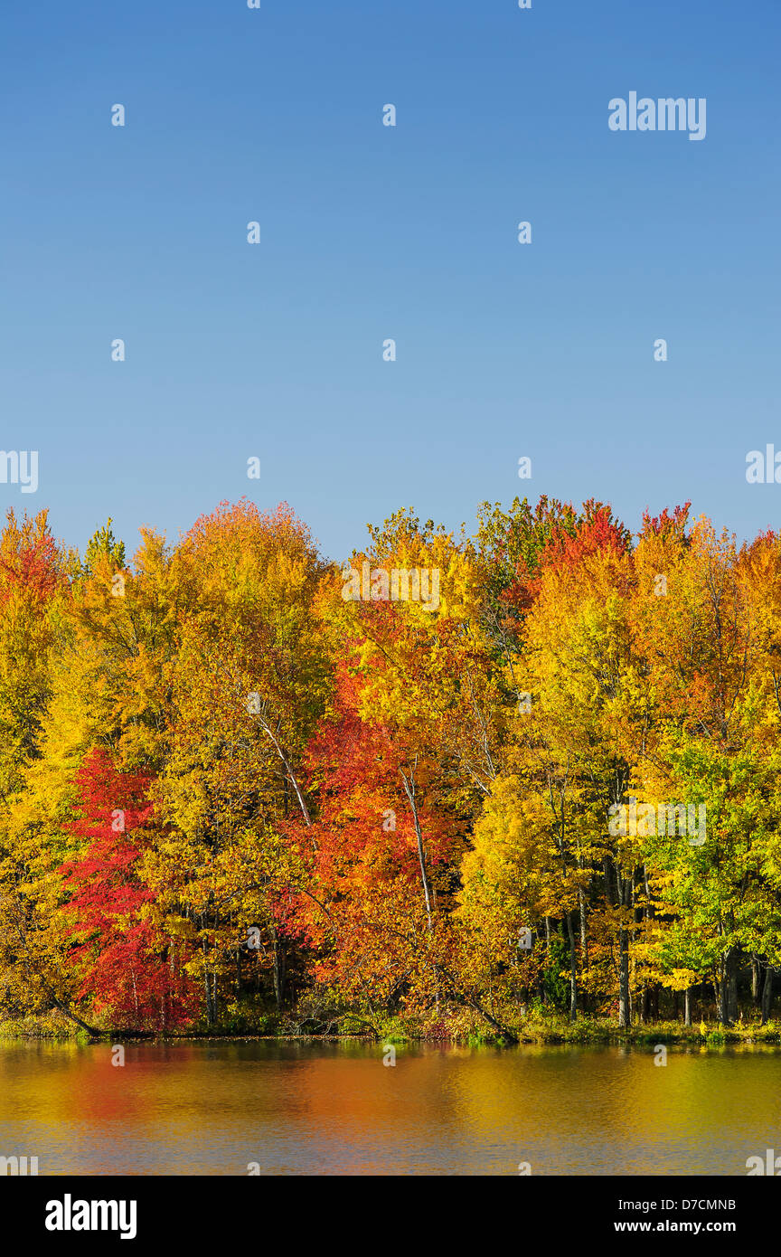 Bäume in herbstlichen Farben spiegelt sich in den See mit einem blauen Himmel, Ohio Vereinigte Staaten von Amerika Stockfoto