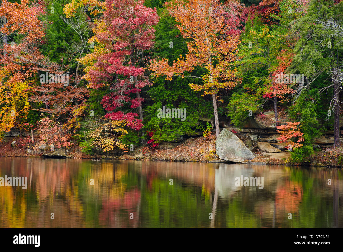 Bäume in herbstlichen Farben spiegelt sich in einem See, Ohio Vereinigte Staaten von Amerika Stockfoto