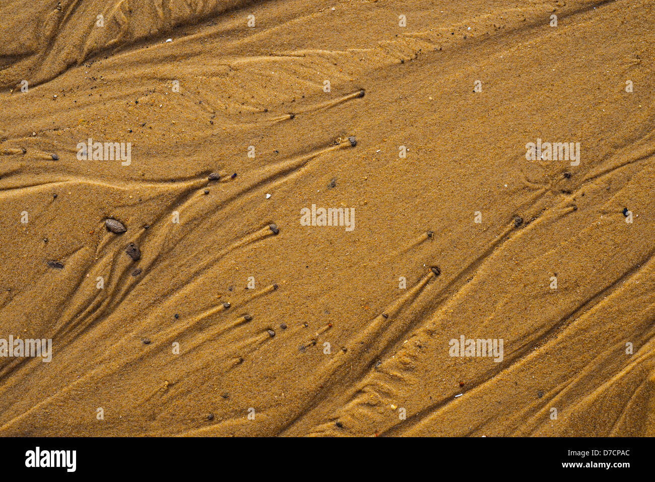 Muster im Sand von zurückweichenden Flut verursacht, Stockfoto