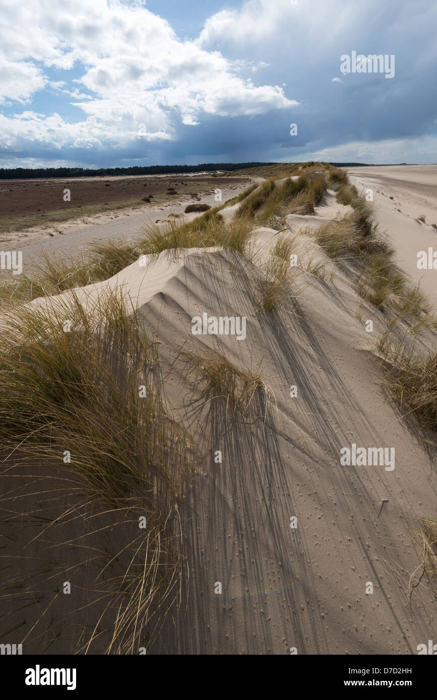 Wind Sand Dünen mit stürmischen Himmel geblasen, Stockfoto