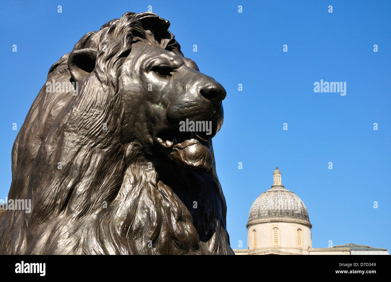 London, England, Vereinigtes Königreich. Trafalgar Square - Lion (1867: Sir Edwin Landseer) am Fuße des Nelson Säule Stockfoto