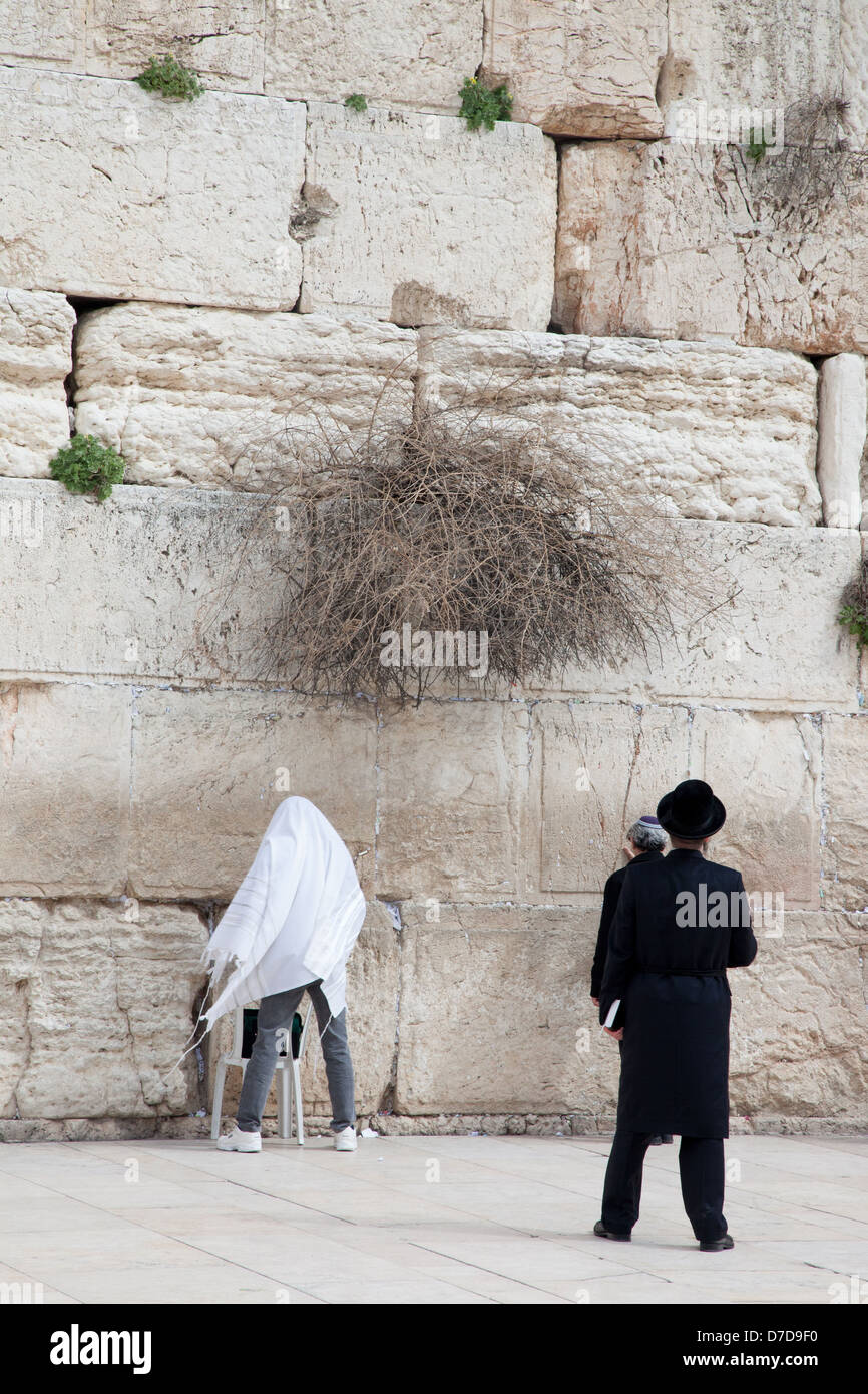 Jerusalem, Israel - ca. 17. Februar 2013. Die Klagemauer, wo Juden und Christen versammeln, um an die alten Tempelmauer beten Stockfoto