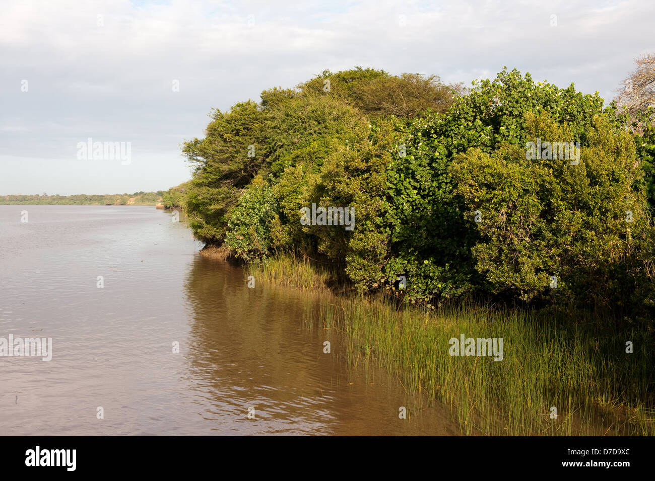 Maputo Fluß, Bela Vista, Mosambik Stockfoto