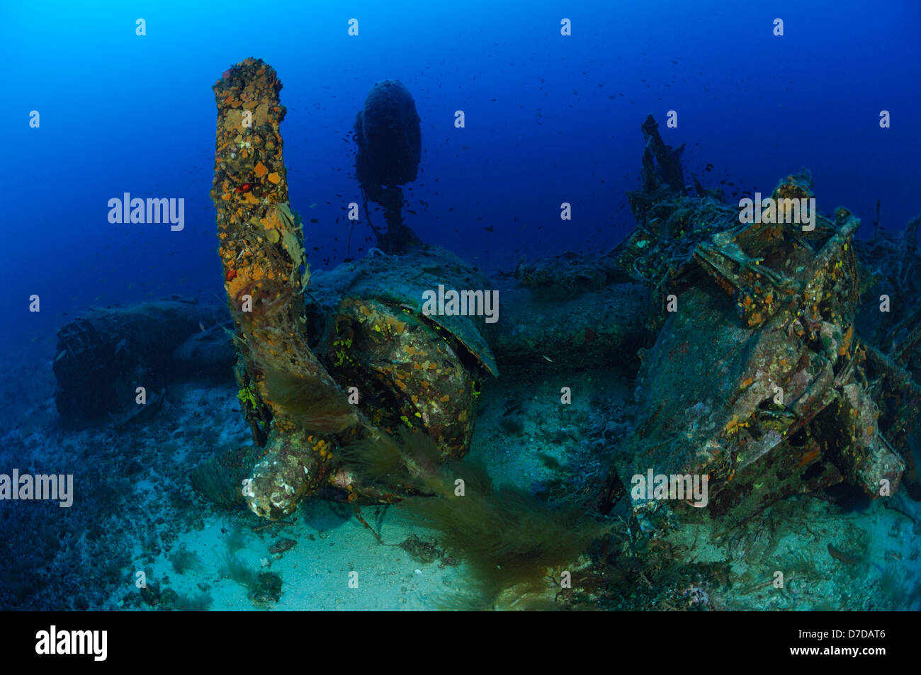 B-24 Liberator Bomber Wrack, Vis, Adria, Kroatien Stockfoto