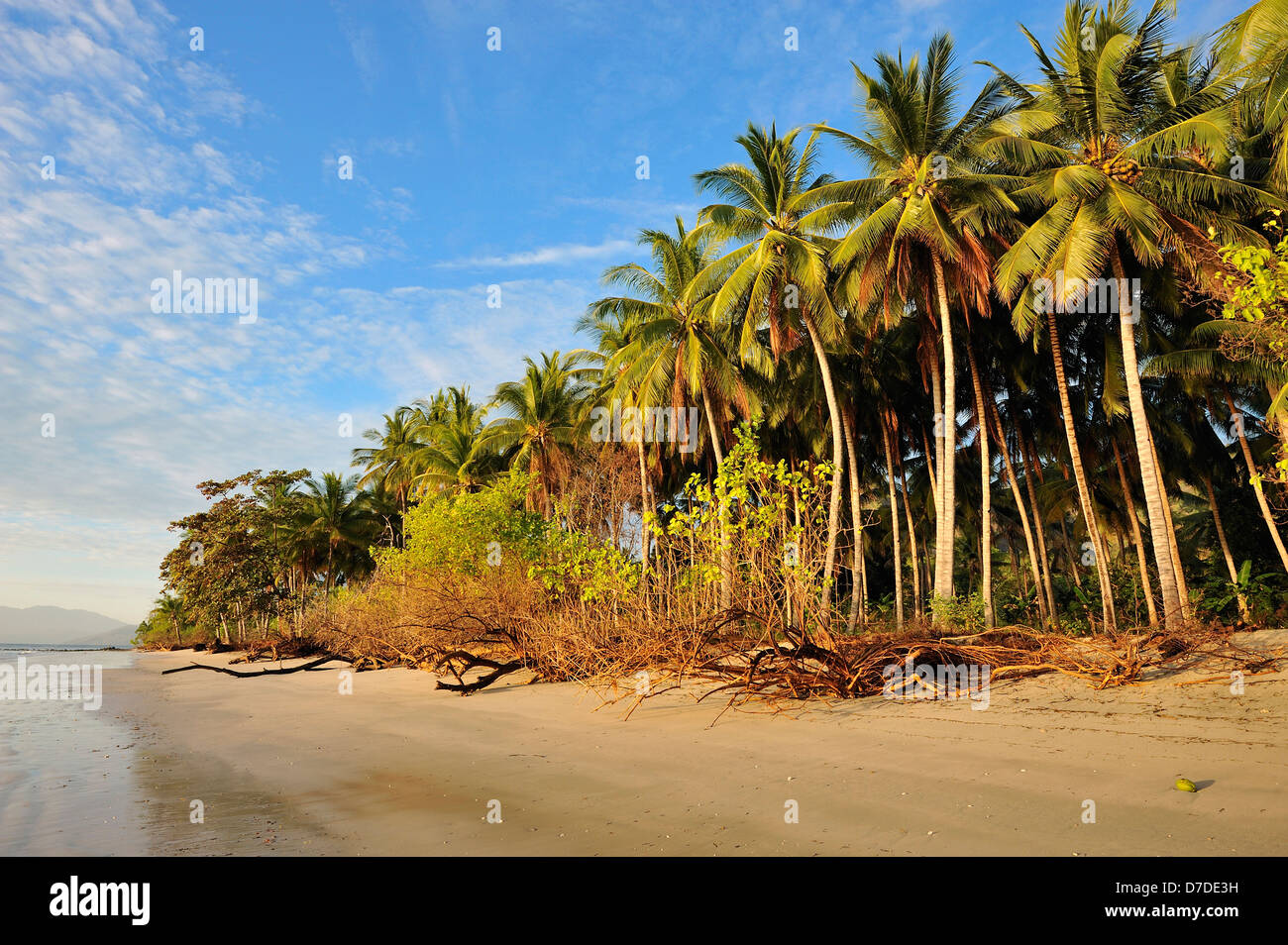 Strand von Pantar, Alor Archipel, Indonesien Stockfoto