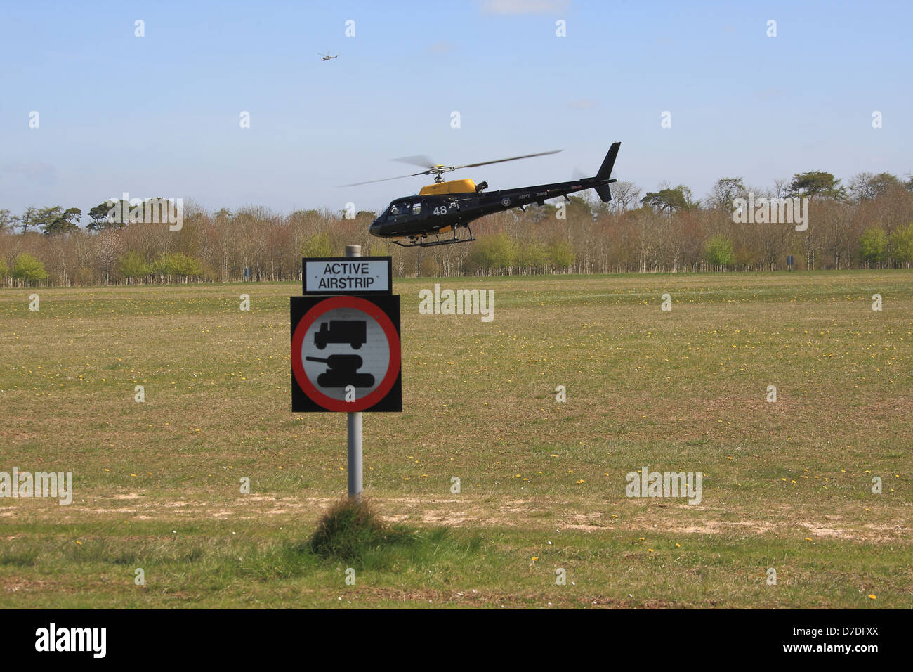 ZJ248 Army Air Corps Squirrel HT2 basierend auf einem Übungsflug auf Salisbury Plain Truppenübungsplatz in Middle Wallop Stockfoto