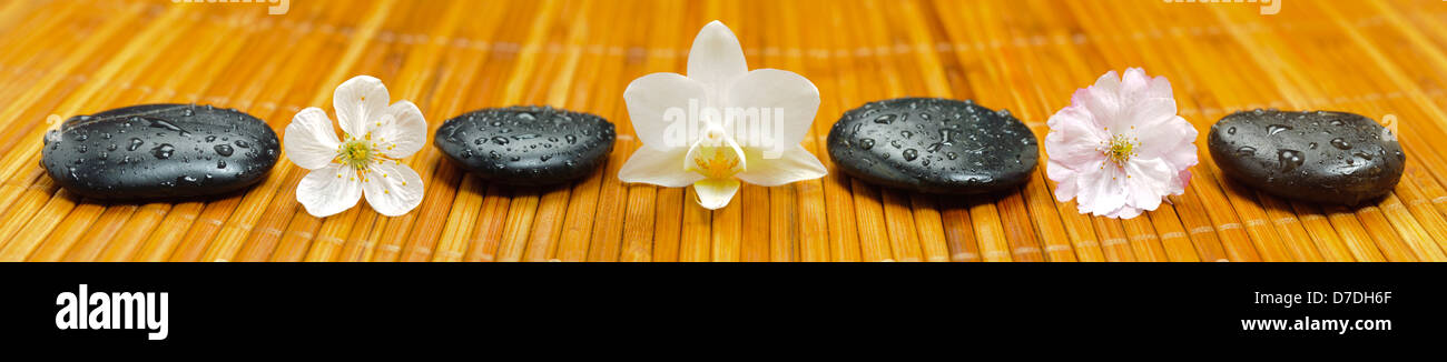 Zen-Garten mit Blumen und Steinen in Zeile Stockfoto