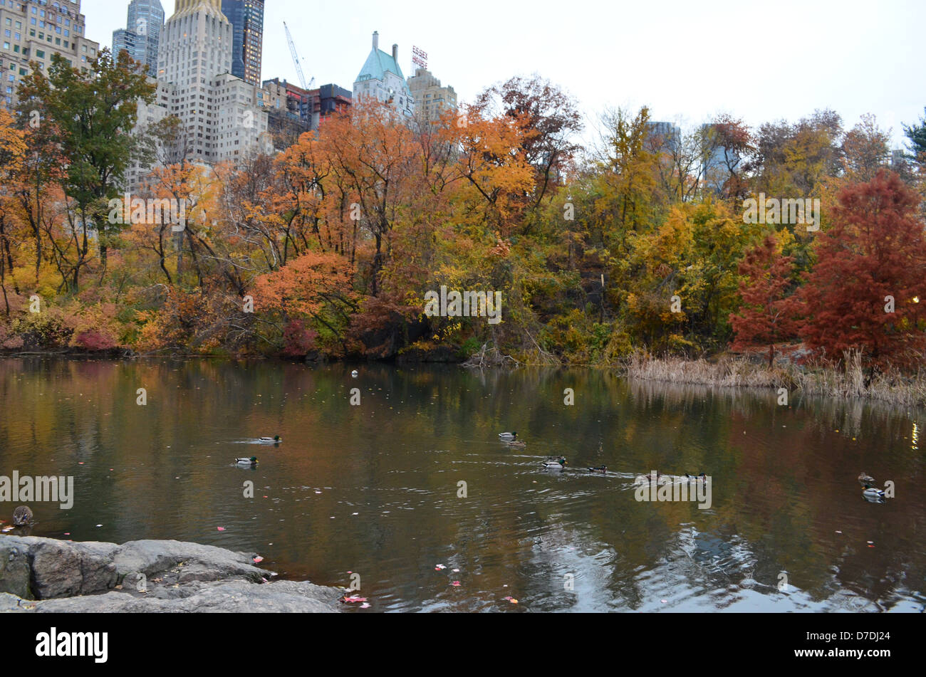 Teich im Central Park am Central Park South, New York City Stockfoto