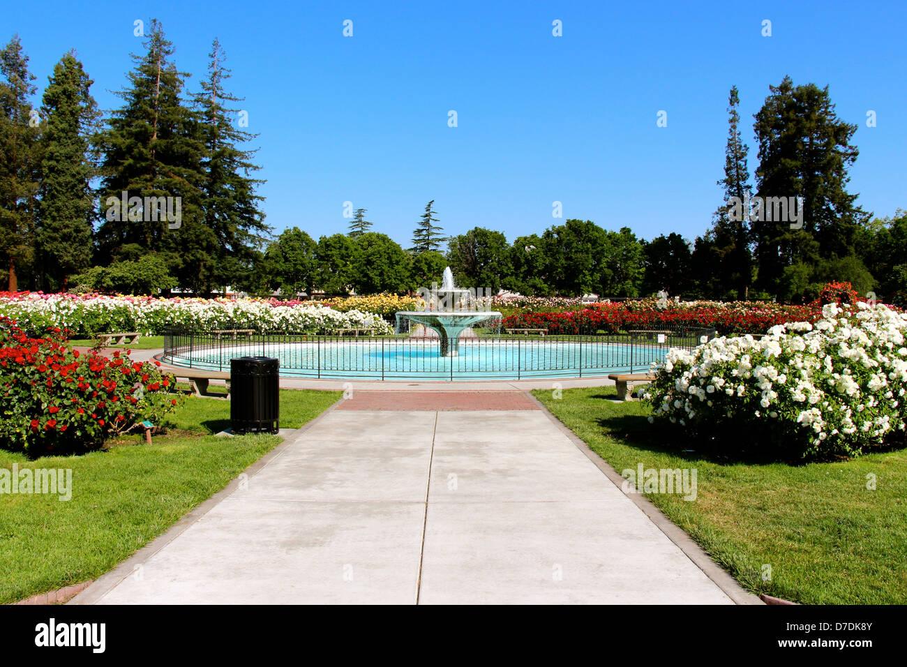 San Jose Stadtischen Rosengarten In San Jose Kalifornien