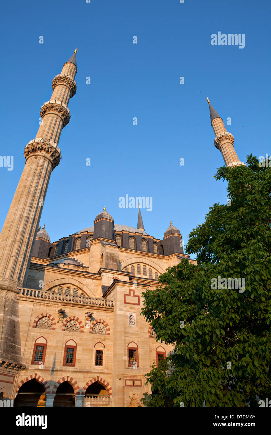 Selimiye Moschee in Edirne, Türkei Stockfoto