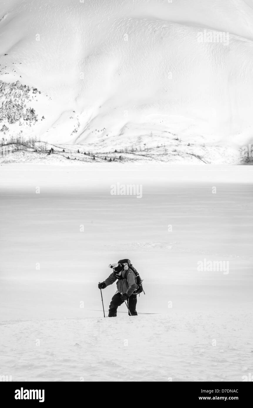 Langlauf Ski in Alaska Stockfoto